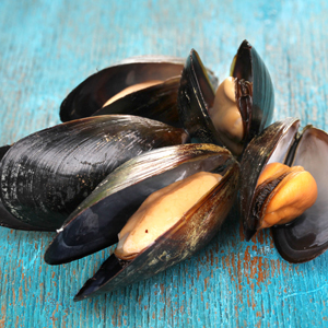 Moules de Bouchot - zak 5 kg